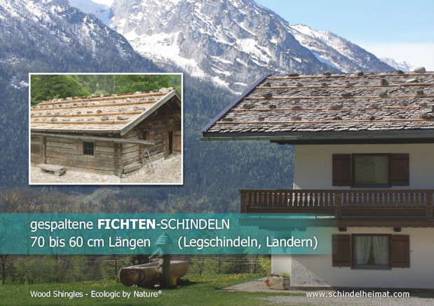 Bildansicht der Seite