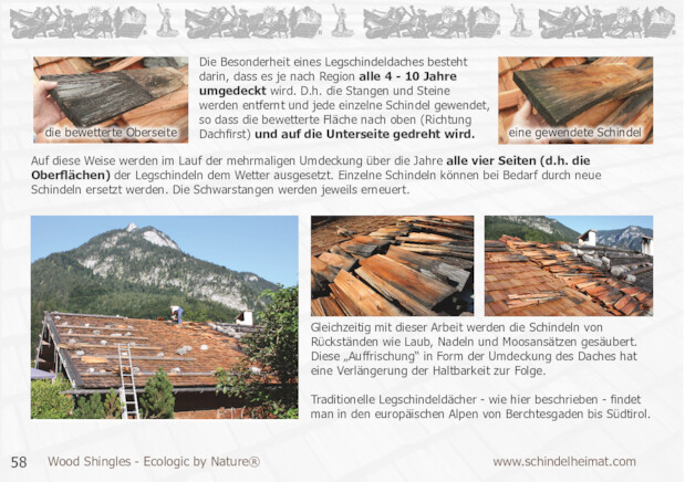 Bildansicht der Seite